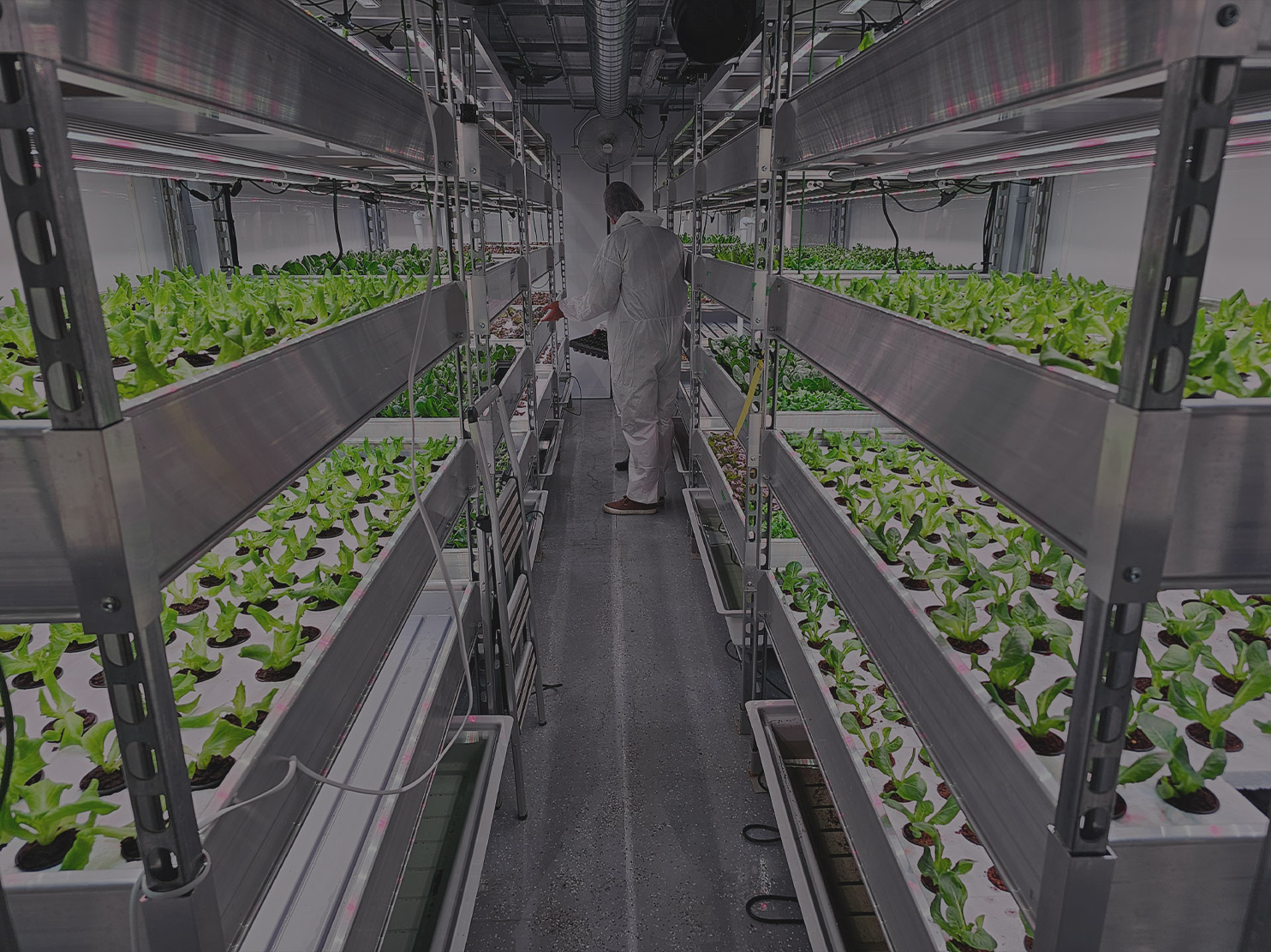 At CEA Advisors, we are a team of passionate experts dedicated to helping our clients achieve success in developing and maintaining vertical farming systems.